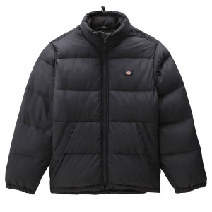 Black jacket Dickies Dickies - 1