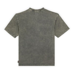 Dickies Newington Green T-shirt Dickies - 2